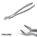 Surgimac dental forceps 
