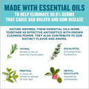 SurgiMac Dental District Medical Supply - Listerine Cool Mint Antiseptic Mouthwash for Bad Breath, Travel Size 3.2 oz - Pack of 12 