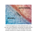 MetaSEAL Endodontic Sealer Kit | S160 | | Dental, Dental Supplies, Endodontic products, Endodontic sealers & cements | Parkell | SurgiMac